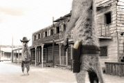 Maverick Meerkats calendar 2015 - 14 Nov 2014