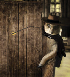 Maverick Meerkats calendar 2015 - 14 Nov 2014