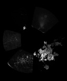 Philae Mission