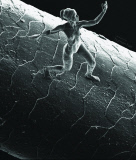 The World's smallest sculpture, Britain - 16 Nov 2014