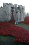 Blood Swept Lands and Seas of Red installation