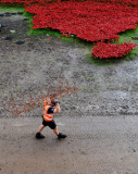 Blood Swept Lands and Seas of Red installation