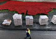 Blood Swept Lands and Seas of Red installation
