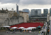 Blood Swept Lands and Seas of Red installation
