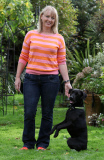 Clever dog can do a host of tricks including skateboarding, Hampshire, Britain - Oct 2014
