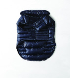 American Eagle Design Christmas Clothing For Dogs, Nov 2014