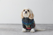 American Eagle Design Christmas Clothing For Dogs, Nov 2014