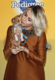 FOX's Cause For Paws: An All-Star Dog Spectacular, Los Angeles, America - 22 Nov 2013