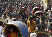 Rickshaw of Dhaka recorded at Guinness World Records 2015