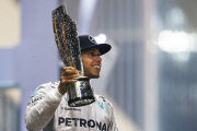 Abu Dhabi Formula One 1 Grand Prix, Yas Marina Circuit, Abu Dhabi, United Arab Emirates - 23 Nov 2014.