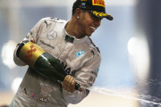 Abu Dhabi Formula One 1 Grand Prix, Yas Marina Circuit, Abu Dhabi, United Arab Emirates - 23 Nov 2014.