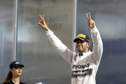 Formel 1: GP von Abu Dhabi 2014 - Sonntag