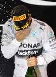 Formel 1: GP von Abu Dhabi 2014 - Sonntag