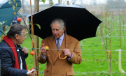 Prince of Wales Visits the National Heritage Garden, Great Milton, Britain - 21 Nov 2014
