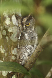 Malaysia - Nov 2014