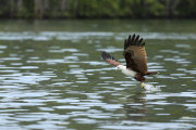 Malaysia - Nov 2014
