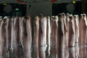 VB64 performance by Vanessa Beecroft at the Maxxi Museum, Rome, Italy - 01 Dec 2014