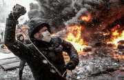 Best Images of 2014