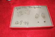 Gena Rowlands Hand/Footprint Ceremony At the TCL Chinese Theatre