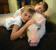 Wilbur gets to stay