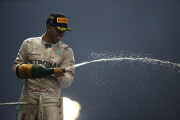 Abu Dhabi Formula One 1 Grand Prix, Yas Marina Circuit, Abu Dhabi, United Arab Emirates - 23 Nov 2014.