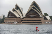Father Christmas paddle boarding in Sydney Harbour, Australia - 18 Dec 2014
