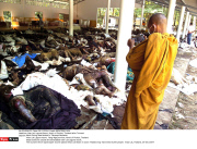 Khao Lak Laguna Resort, North of Phuket, Thailand after Tsunami