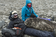 Curious elephant seal cub sleeps on lady, Livingstone Island, Antarctica - 02 Dec 2014