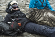 Curious elephant seal cub sleeps on lady, Livingstone Island, Antarctica - 02 Dec 2014
