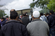 Salafist Movement
