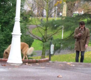 *EXCLUSIVE* Luke Evans and rumored beau Jon Kortajarena spend X-mas in Spain **USA ONLY**