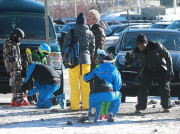 Seal Goes Snowboarding In Mammoth 