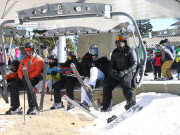 Seal Goes Snowboarding In Mammoth 
