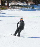 Seal Goes Snowboarding In Mammoth 