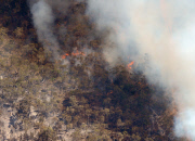 Buschfeuer in Adelaide Hills