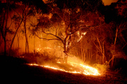 Buschfeuer in Adelaide Hills