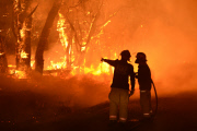Buschfeuer in Adelaide Hills