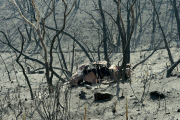 Buschfeuer in Adelaide Hills