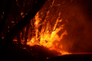 Buschfeuer in Adelaide Hills