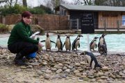 London Zoo Annual Stocktake, London, Britian - 05 Jan 2015