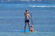 *EXCLUSIVE* **NO WEB** Neil Patrick Harris and David Furnish take the kids paddle boarding