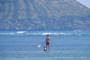*EXCLUSIVE* **NO WEB** Neil Patrick Harris and David Furnish take the kids paddle boarding