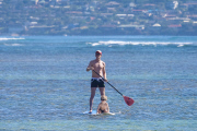 *EXCLUSIVE* **NO WEB** Neil Patrick Harris and David Furnish take the kids paddle boarding