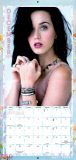 American singer Katy Perry in her official 2015 calendar
