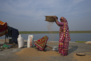 Climate changes : victim of river erosion in Bangladesh