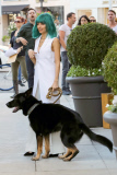 A blue-haired Nicole Richie heads out of the Beverly Hilton with dog Iro in tow