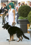 A blue-haired Nicole Richie heads out of the Beverly Hilton with dog Iro in tow