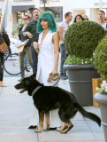 A blue-haired Nicole Richie heads out of the Beverly Hilton with dog Iro in tow
