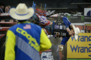 NY: Professional Bull Riders Buck Off At The Garden