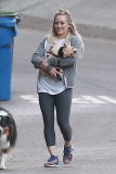 *EXCLUSIVE* Hilary Duff is smitten with her French Bulldog puppy Beau